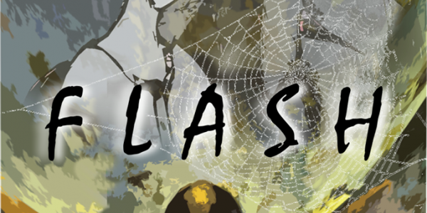 Flash